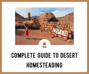 Guide to Desert Homesteading