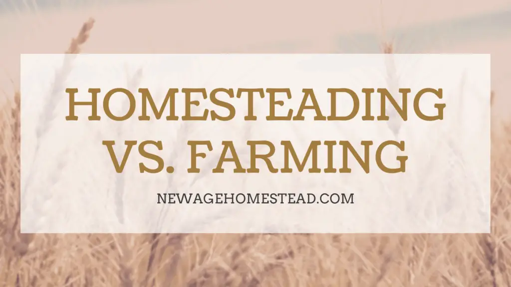 Ranch Vs Farm Vs Homestead