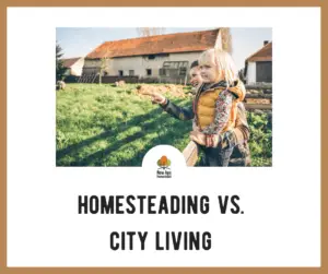 Homesteading versus city living