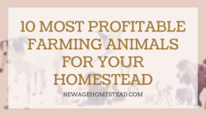 Most Profitable Farming Animals for Homestead