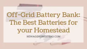 Best batteries for your homestead.
