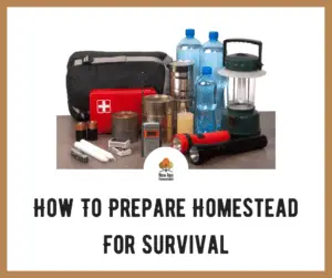 Prepare Homestead for Survival (SHTF)