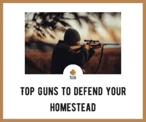 Homestead Firearms: Top Guns to Defend Homestead