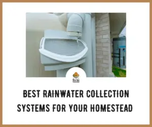 BEST RAINWATER COLLECTION SYSTEMS