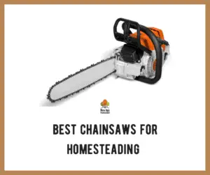 Top Chainsaws for Homesteading