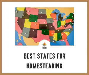 Best States for Homesteading