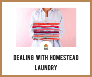 Dealing with Homestead Laundry