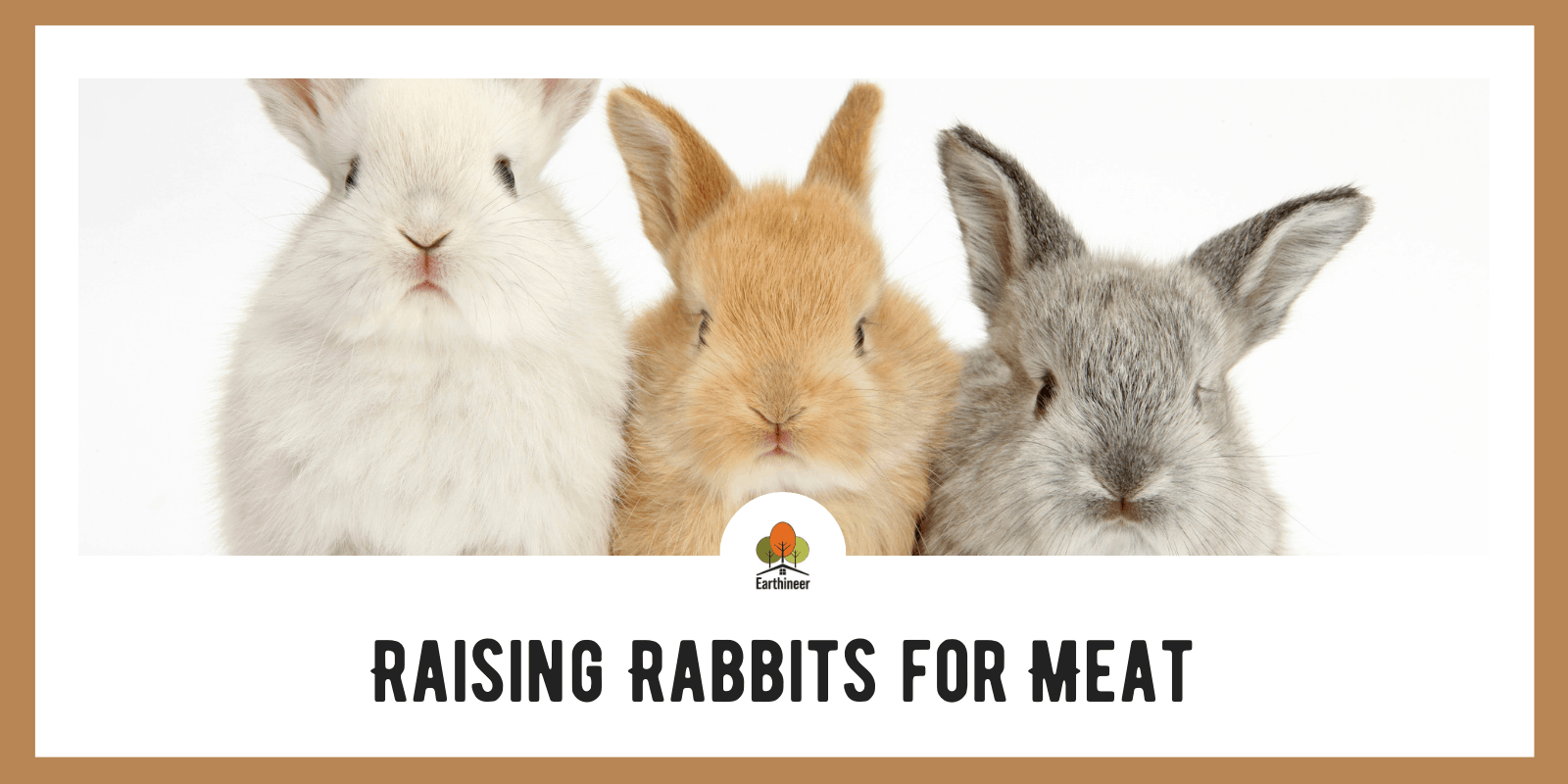 Raising Rabbits for Meat On Your Homestead: Complete Guide - Earthineer