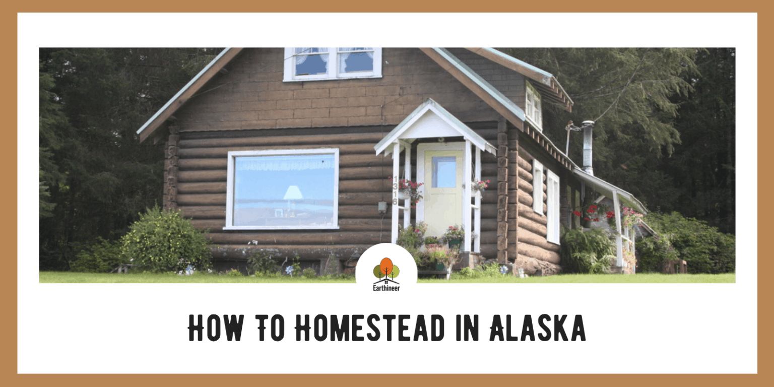 How To Homestead in Alaska 5 Steps Homesteading Info